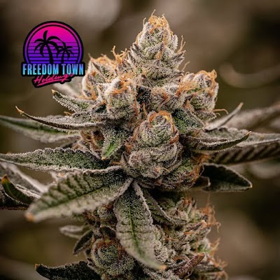 FLUENT Cannabis Dispensary - Coral Springs