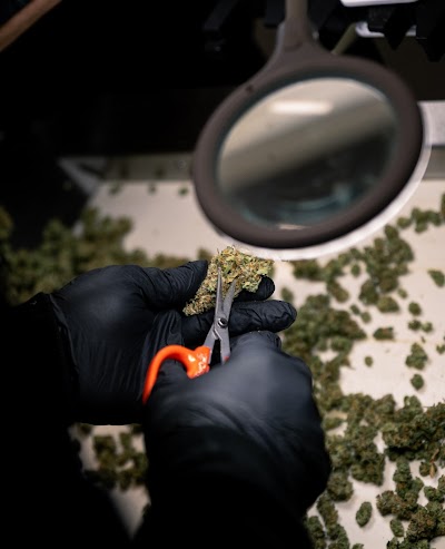 FLUENT Cannabis Dispensary - Fort Walton Beach