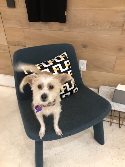 FLUENT Cannabis Dispensary - Orlando