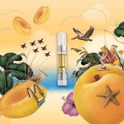 FLUENT Cannabis Dispensary - Pensacola - 9 Mile