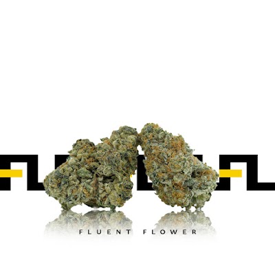 FLUENT Marijuana Dispensary - Hanover