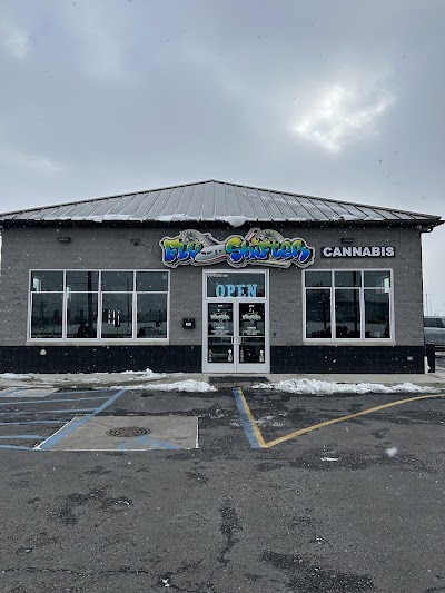 Fly Shifter Recreational Cannabis - Detroit