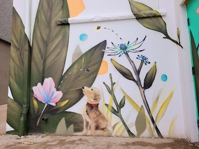 Fogtown Flower | North York Cannabis | Delivery & Pickup