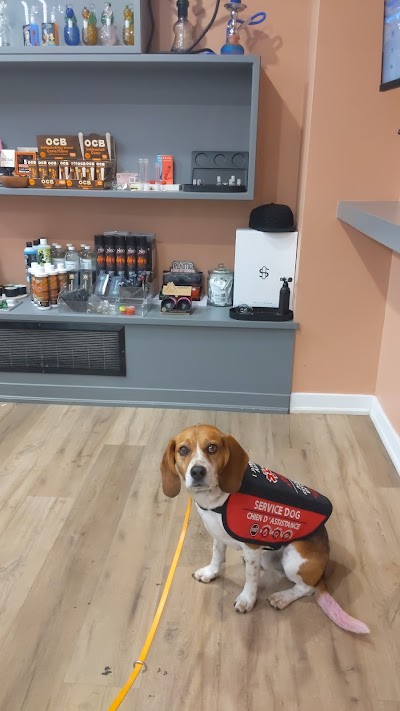 Fogtown Flower | North York Cannabis | Delivery & Pickup