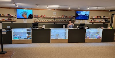 Forage - Marijuana Dispensary - Retail/Recreational Cannabis Dispensary
