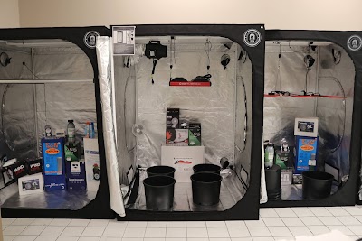 Forest City Marijuana Dundas