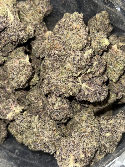 Forest Hills Station