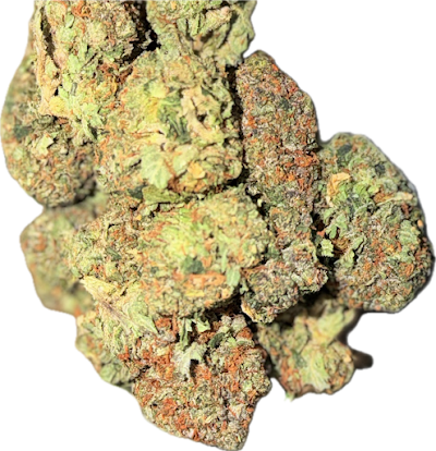 Forest Hills Station