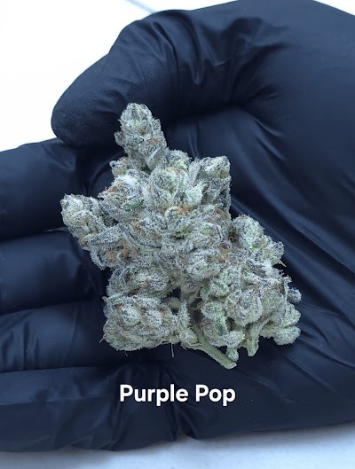 Fox Cannabis Marijuana Dispensary