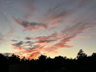 Friendly Fire Recreational