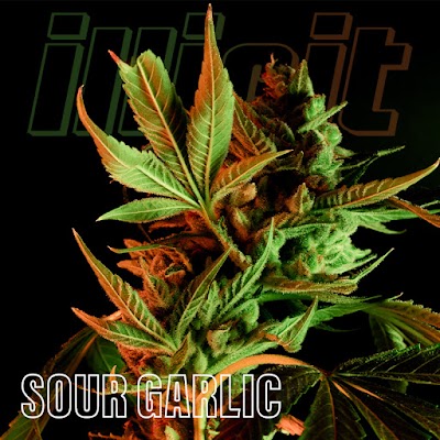 From The Earth Dispensary Raytown