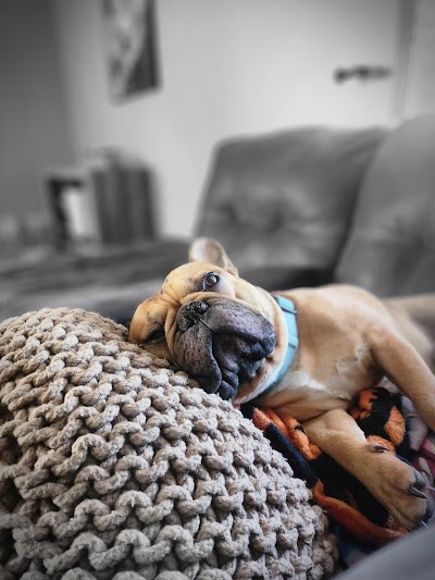 From The Earth Dispensary State Line