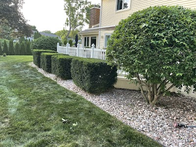 From The Roots Lawn & Landscaping