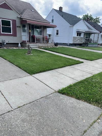 From The Roots Lawn & Landscaping