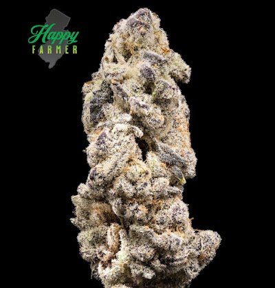 Frosted Nug Red Bank Dispensary