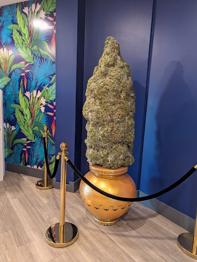 Ganjika House Cannabis Store | Oshawa Weed Store