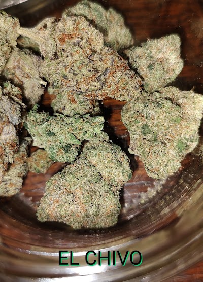 Goldflower Cannabis Dispensary Sebring