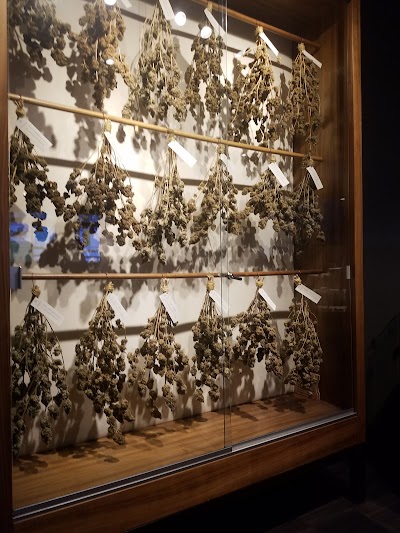 Good Chemistry - Aurora