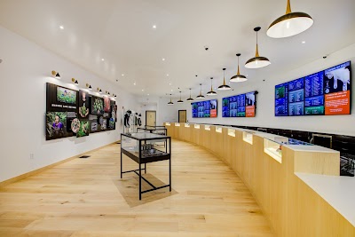 Good Chemistry - Lynn