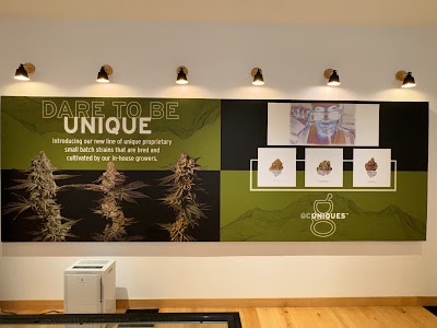 Good Chemistry - Lynn