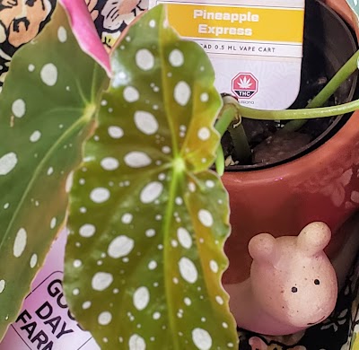 Good Day Farm Jennings Dispensary