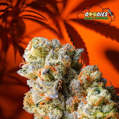 Goodies Ganja & Smoke Shop