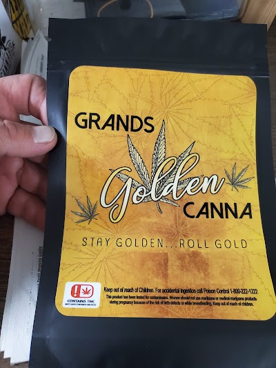 Grands Golden Canna