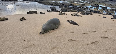 Green Aloha +Dispensary