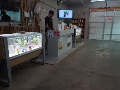 Green Canopy Solutions