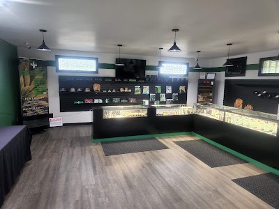 Green Degree Clapp Wasilla