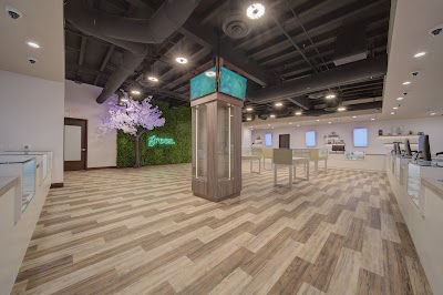 Green Dispensary - Rainbow