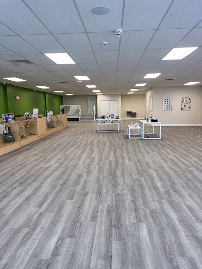 Green Dragon Dispensary - Crystal River