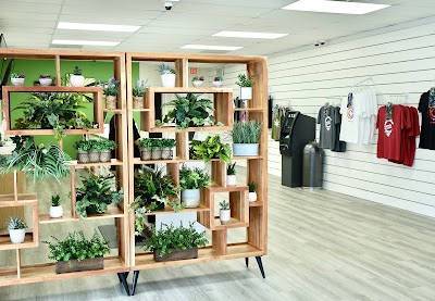 Green Dragon Dispensary Lake Worth