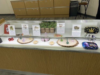 Green Dragon Dispensary - Orange Park