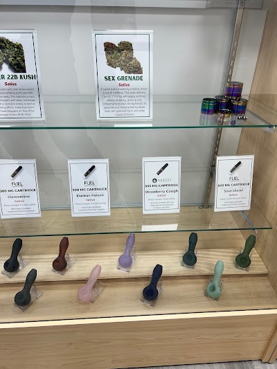 Green Dragon Dispensary - West Pensacola