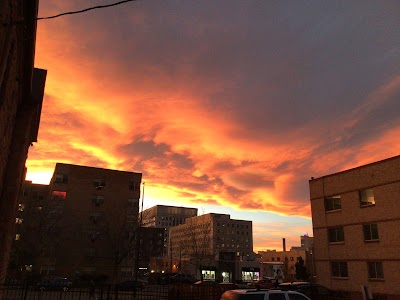Green Dragon Weed Dispensary Capitol Hill