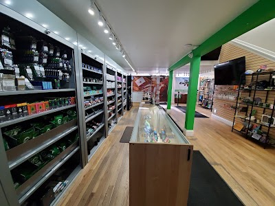 Green Dragon Weed Dispensary - Telluride