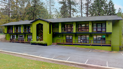 Green Gold's Little Trees | Dispensary