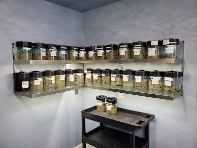 Green Grove Productions