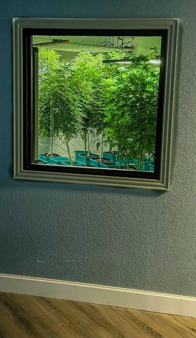 Green Grove Productions