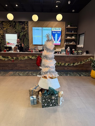 Green Meadows Cannabis Marlborough Dispensary