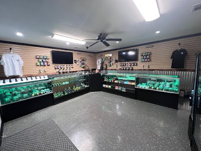 Green Monkey Dispensary