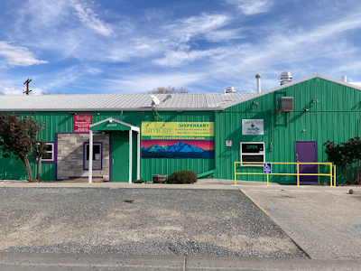 Green Tree of Berthoud