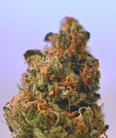 Green Union Dispensary