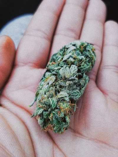 Greenlight Dispensary Sikeston