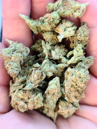 Greenlight Marijuana Dispensary Stateline