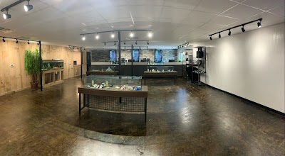 Greenlight Medical Marijuana Dispensary Princeton