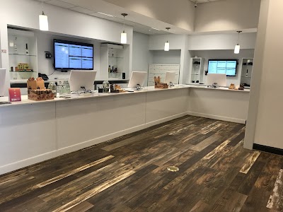 Greenlight Therapeutics