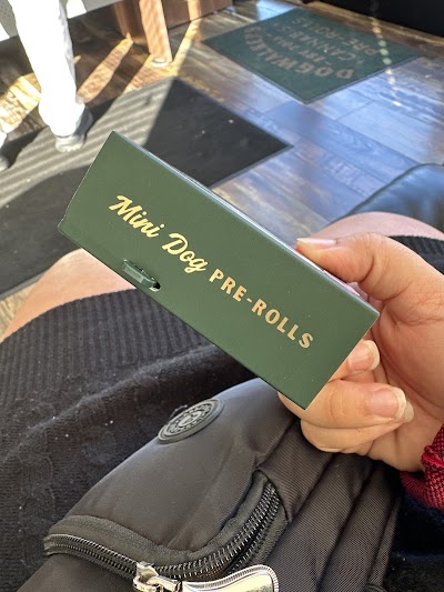 Greenlight Therapeutics