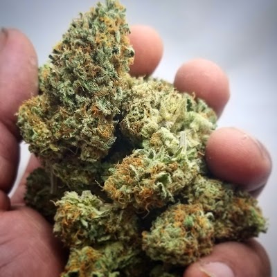 Greenport Cannabis Co.